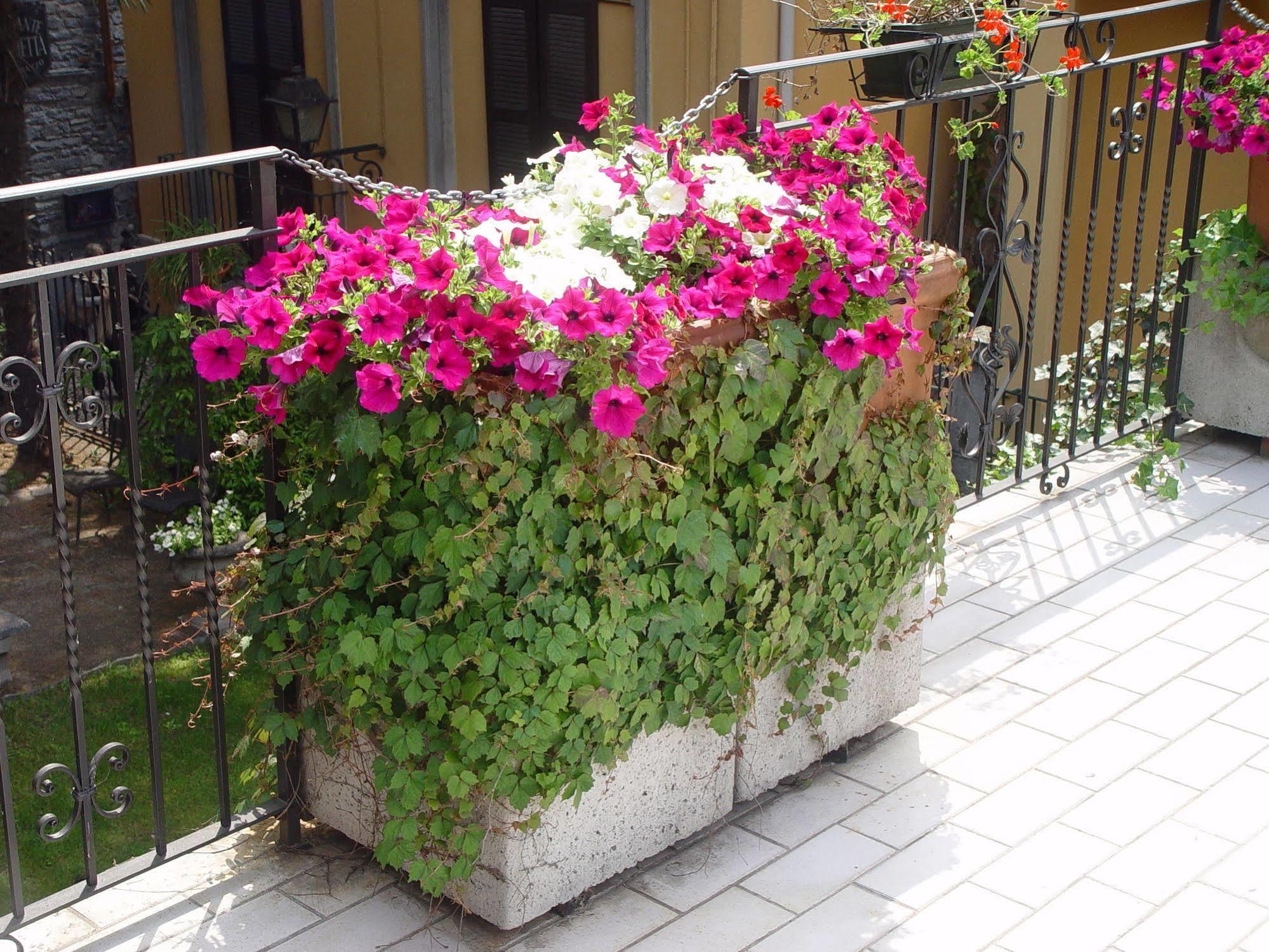 Hotel Centrale Беладжо Екстериор снимка